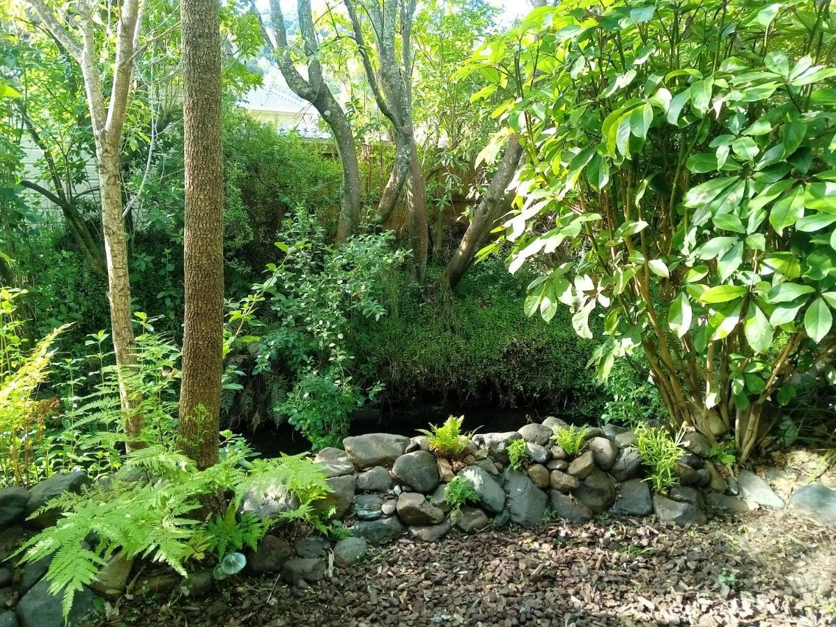 La Rochelle Motel Akaroa Kültér fotó