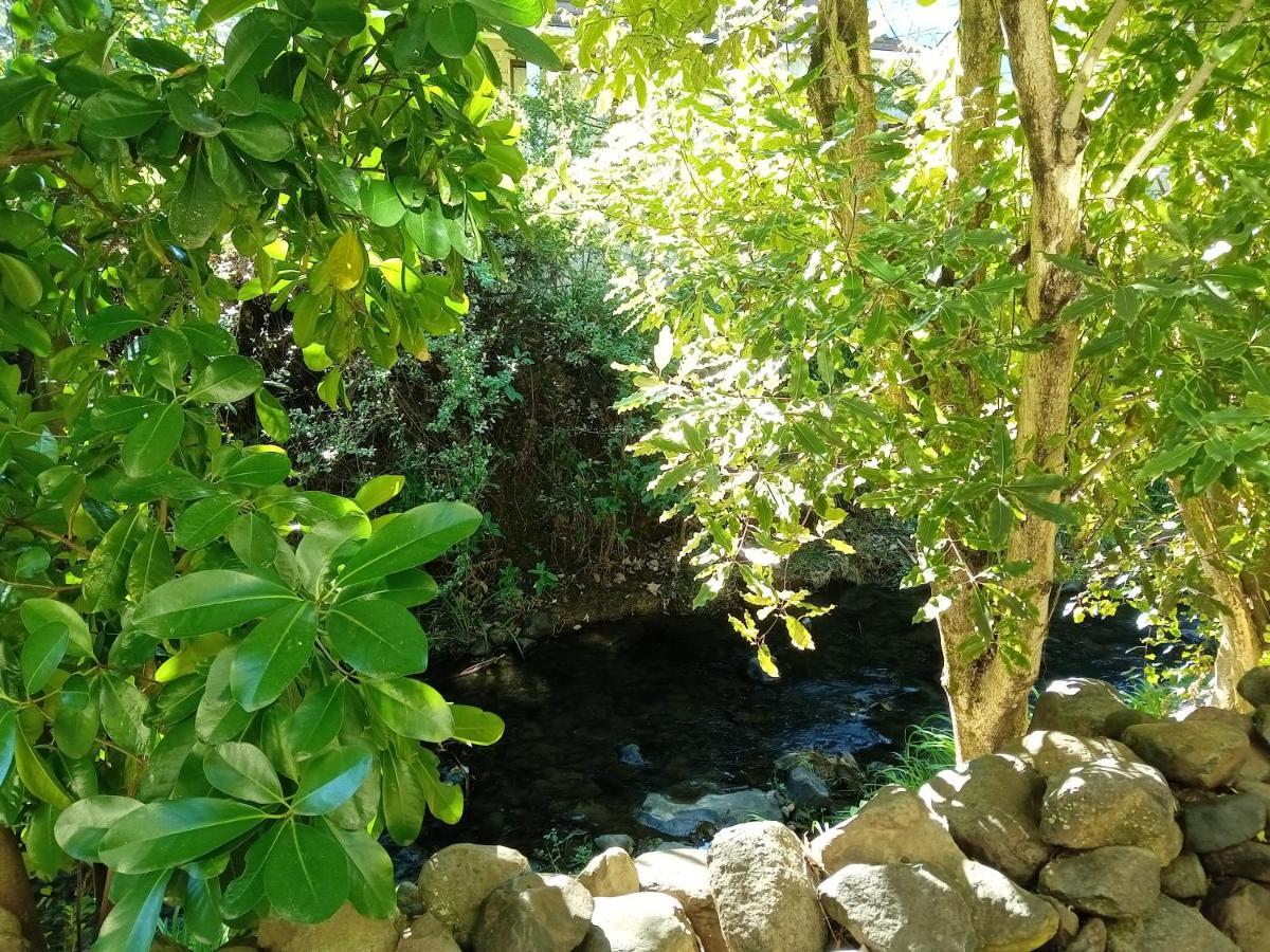 La Rochelle Motel Akaroa Kültér fotó